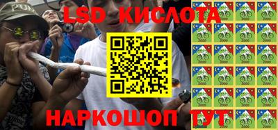 мдпв Бийск