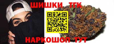 мдпв Бийск