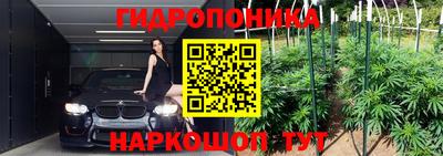 мдпв Бийск
