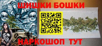 мдпв Бийск