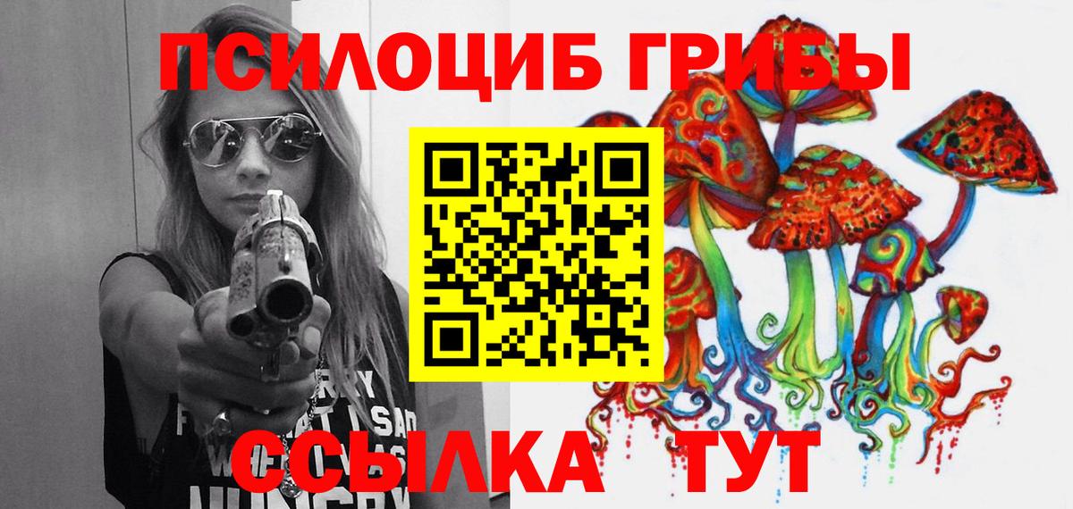 Псилоцибиновые грибы GOLDEN TEACHER Знаменск