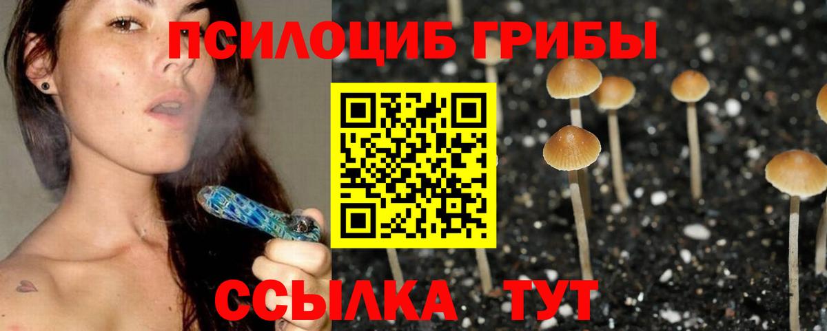 Галлюциногенные грибы Magic Shrooms  наркошоп  Знаменск  Вход с VPN 